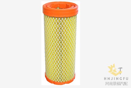 air filter PA4802/AF4269/AF25888/30-0043022/WGA1869/870558A