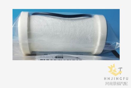 CLS110MYMZ CNG natural gas filter cartridge element