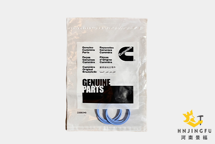 3070138X Cummins O Ring Seal
