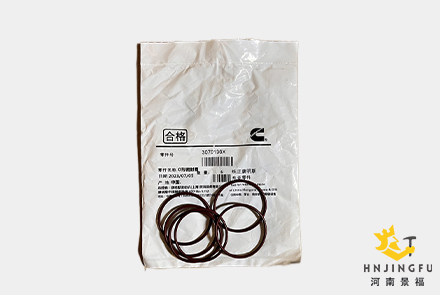 3070136X Cummins ISM QSM ISM11 QSM11 M11 O Ring Seal
